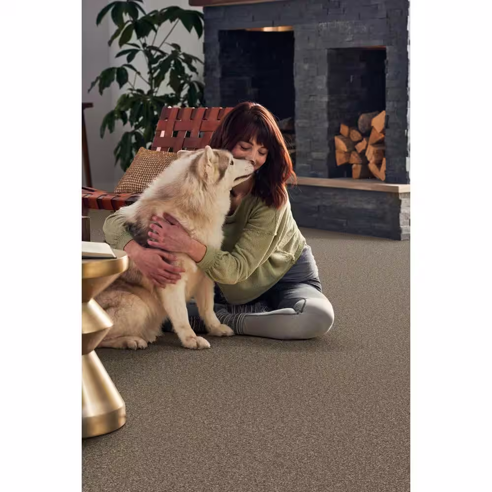 Home Decorators Collection Pioneer - Hayloft - Brown 73.5 oz. SD Polyester Texture Installed Carpet