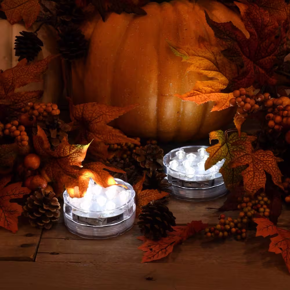 LUMABASE White LED Lights with Remote (2-Pack)