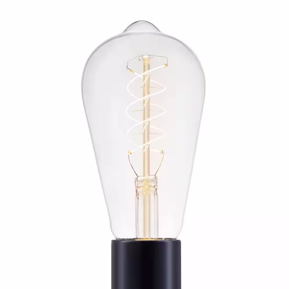 EcoSmart 40-Watt Equivalent ST19 Dimmable Fine Bendy Filament LED Vintage Edison Light Bulb Warm White (1-Pack)