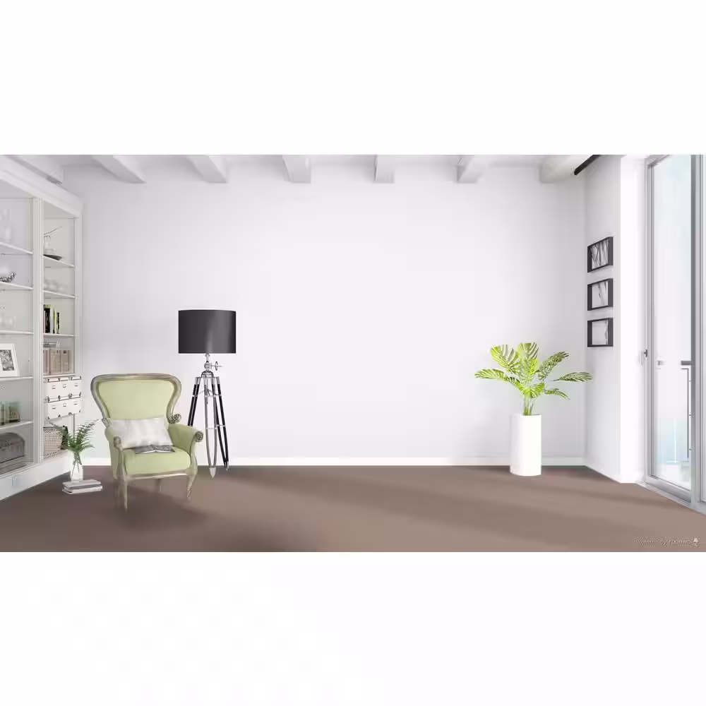 Home Decorators Collection Stargazer  - Galaxy - Beige 32 oz. SD Polyester Texture Installed Carpet
