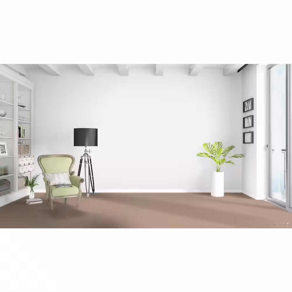 Home Decorators Collection Stargazer  - Cosmic - Beige 32 oz. SD Polyester Texture Installed Carpet