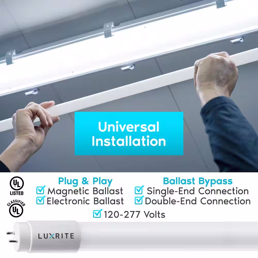 LUXRITE 13-Watt 4 ft. Linear T8 LED Tube Light Bulb Ballast and Ballast Bypass Compatible 6500K Daylight Damp Rated (12-Pack)